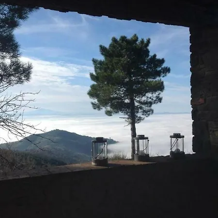 Bellavista *